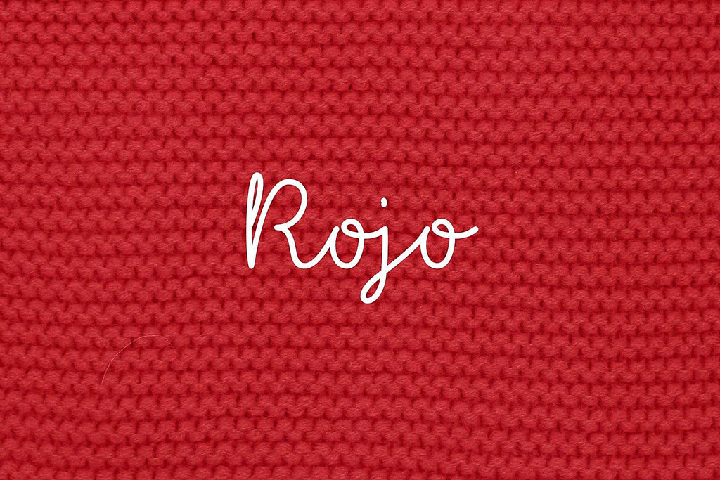BUZO RAYAS BASIC-añadir pelo ROJO